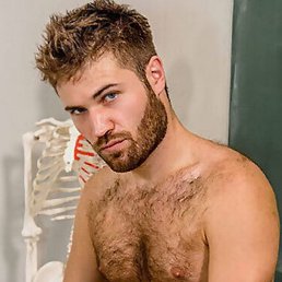 Gildas, ���������, 37 ���