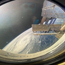 �����, �����������, 54 ����