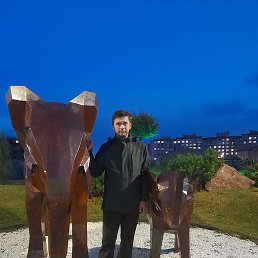 ����, �������, 46 ���