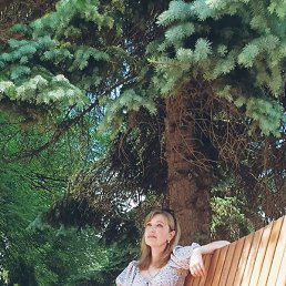 ����, ����, 40 ���