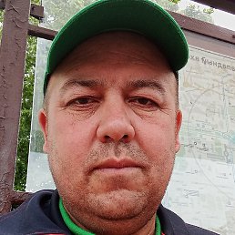 ������, ������, 46 ���