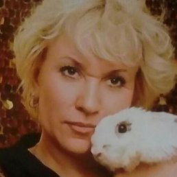 ������, ���������, 53 ����