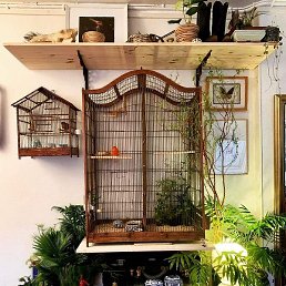 Yassin, �����, 36 ���