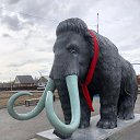 ���� �������, ���������, 51 ��� - ��������� 18 ������ 2023 � ������ ���� ����������