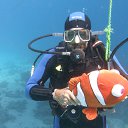  Tiger, , 72  -  28  2023   memory Hurghada