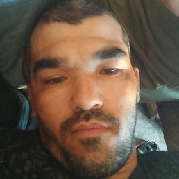 ������, ������, 41 ���