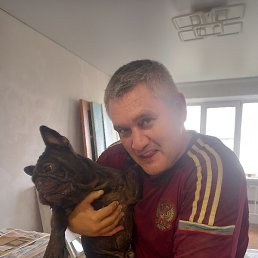 ����, ���������, 46 ���