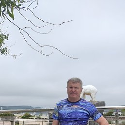 ���� ���, �����������, 65 ��� - ��������� 11 ���� 2023