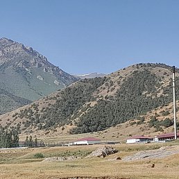 ���, �����, 40 ���