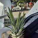 ���� �����, �����, 66 ��� - ��������� 13 ����� 2023 � ������ ���� ����������