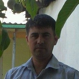 �����, ������, 42 ����