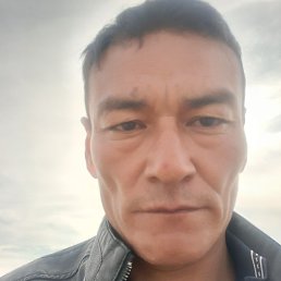 �����, ������, 39 ���