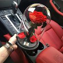 ���� ������, �����-���������, 46 ��� - ��������� 18 ������� 2023 � ������ ���� ����������