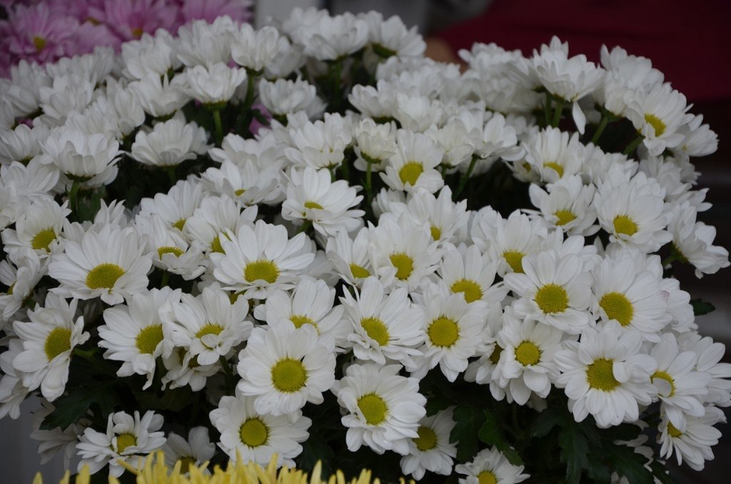 ������ ������� - 23 ������ 2023 � 05:16