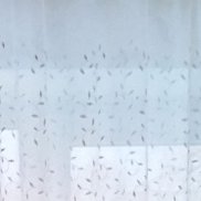 ������, 41 ���, ������