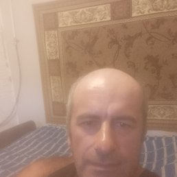 , 48, 