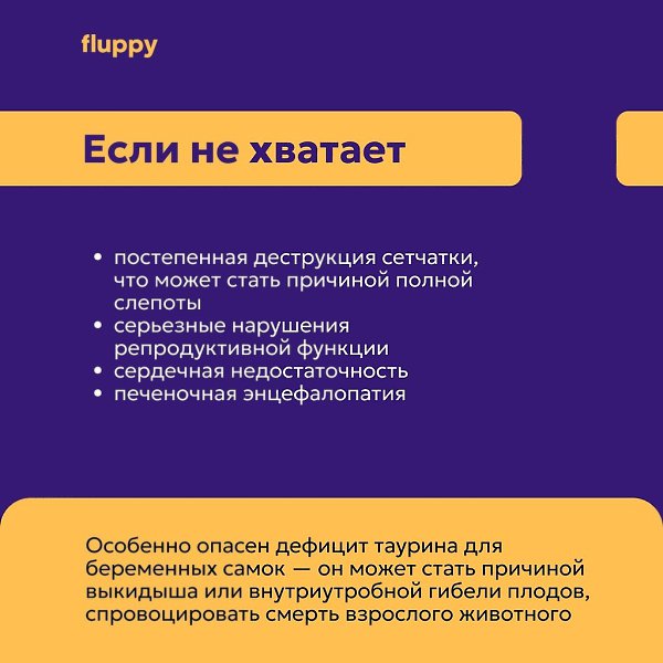 Что такое таурин и какую роль играет в жизни кошек? Рассказали в картинках Больше о здоровье котов в ... - 6