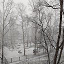 ���� �����, ��������� - ��������� 25 ������ 2024 � ������ ������ ��������