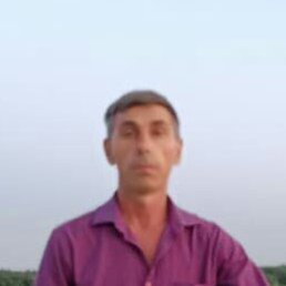 ������� ��������, ��������, 51 ���