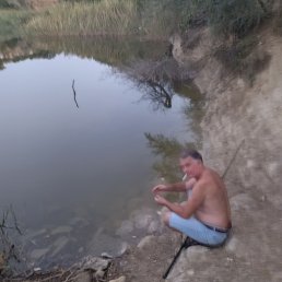 , 57, 