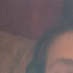 ����, ��������, 22 ����