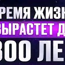 ���� Magda, ������ - ��������� 10 ������� 2025 � ������ ��������