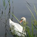 ���� �������, ������� - ��������� 2 ���� 2024 � ������ ���� ����������