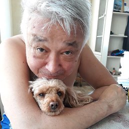 Alex, �����������, 66 ���