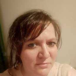 ���� ������, ����������, 43 ���� - ��������� 4 ������� 2026