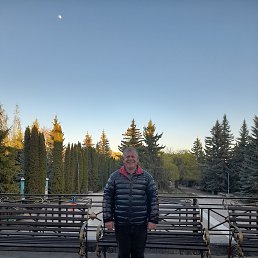 , 37, 