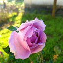 ���� ������, ���������, 69 ��� - ��������� 17 ������� 2025 � ������ ���� ����������