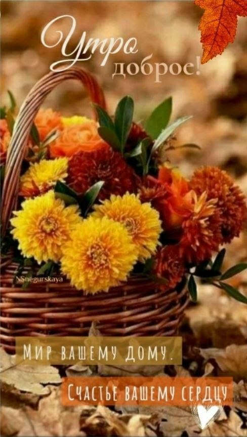 ПРИВЕТСТВИЯ и ПОЖЕЛАНИЯ, открытки на каждый день. - 16 сентября 2025 в 23:21