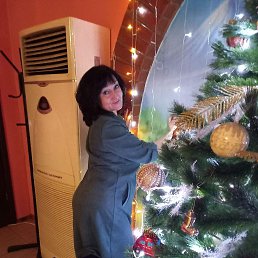 , 53, 