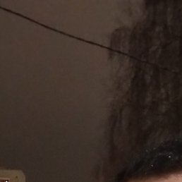 ������, ������, 40 ���