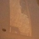 ���� ���� �����������, ����, 41 ��� - ��������� 8 ���� 2025 � ������ ���� ����������