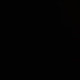 ������, ������, 49 ���