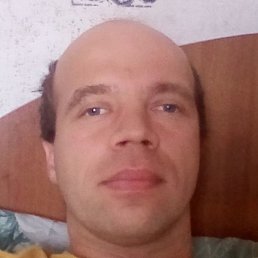 ������, �������, 41 ���