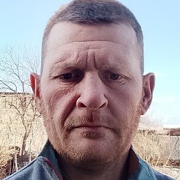 ����, ������, 39 ���