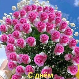 ����, ������ ��������, 54 ����