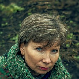 �������, �����������, 50 ���