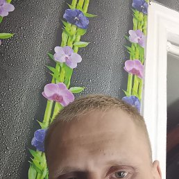  , 31, 