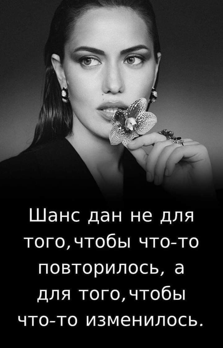 Stella - 17  2023  04:36