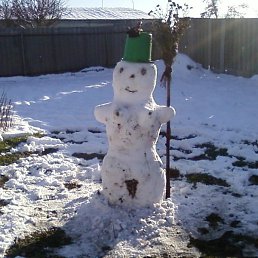 �������, ���������, 43 ����