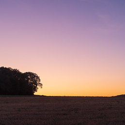 ����, ������, 35 ���