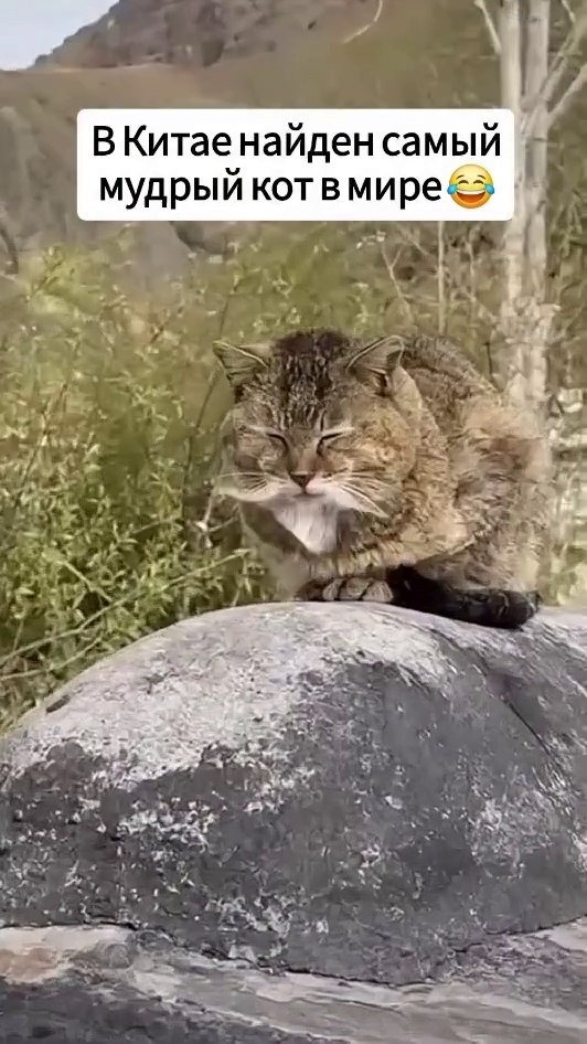������, ���� ��� ������ �������� ���� � ������� ������� ��������� ����) - 2