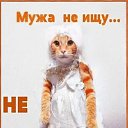 ���� �����, ���������, 61 ��� - ��������� 5 ����� 2025 � ������ ���� ����������