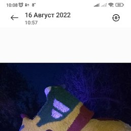 ������, 42 ����, ���������