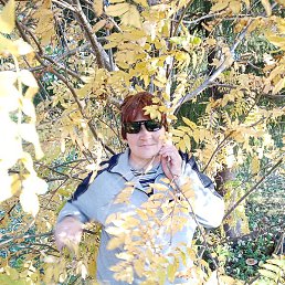 ��������, �����������, 53 ����