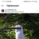 ���� ���, ������������, 43 ���� - ��������� 20 ����� 2026 � ������ ���� ����������