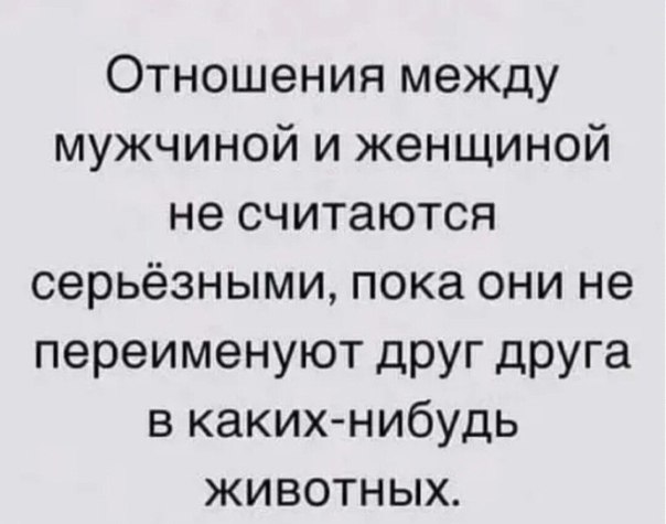 ��� ���� - 22 ������� 2025 � 14:37